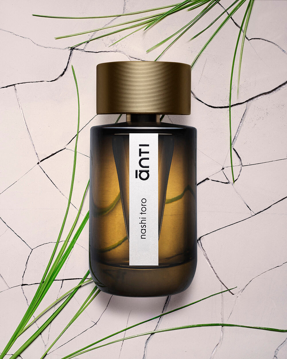 ānti Parfums