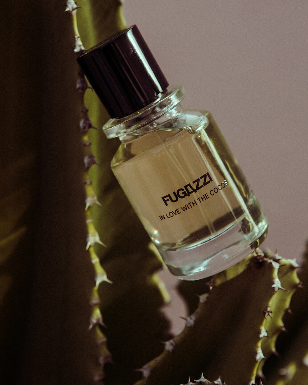 Fugazzi